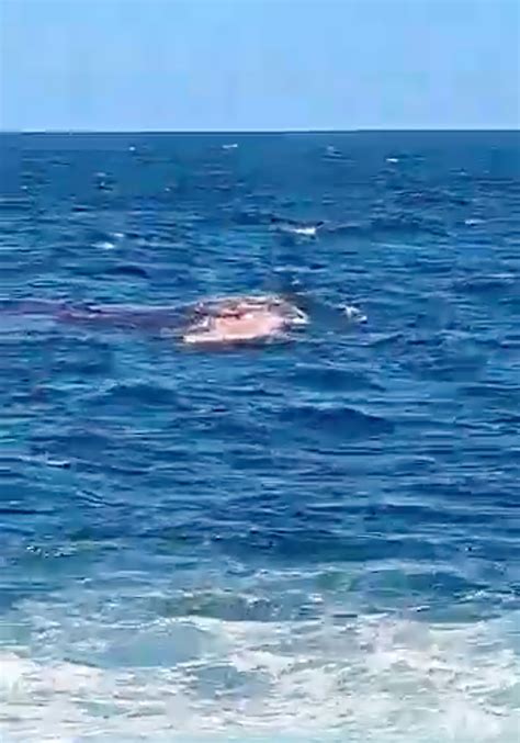 35pm local time on Wednesday after reports a swimmer had been attacked by a shark. . Sydney shark attack video uncensored
